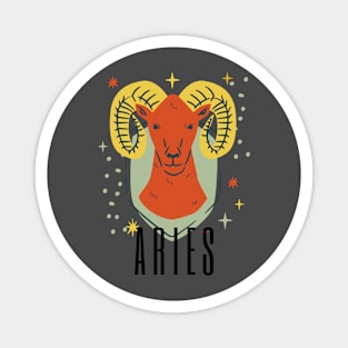 ARIES Magnet